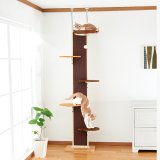 【期間限定！バル20周年！プーちゃん20歳！感謝セール！】ボンビ　キャットウォークモダン