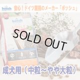 【訳あり特価】ハイプレミアム アダルト ラム＆ライス　3kg