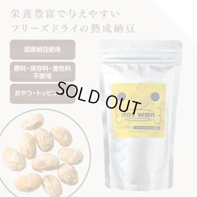 画像1: 【無料サンプル（1種類1個、合計3個まで）】ドットわん　納豆（フリーズドライ）　5ｇ