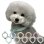 画像4: 【SUO】クールリング 愛犬用 ボタン付き SUO for dogs 28°ICE_COOL RING（スオ 28°アイスクールリング）＜全10色＞ (4)