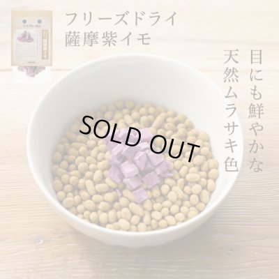 画像1: 【鹿児島県の食材】　限定販売　ドットわんの逸品　フリーズドライ薩摩紫イモ　8g