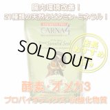 【訳あり特価！】【酵素・オメガ３・天然のビタミンミネラル！】FLORA4ローフードトッパー　スプラウトシード
