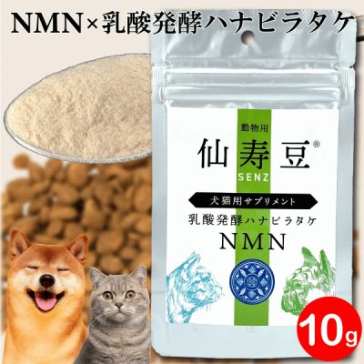 画像2: 【犬猫の健康寿命を考えたエイジングケアサプリ】動物用仙寿豆 SENZ　犬猫用NMNサプリメント（日本産）　