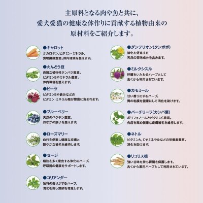 画像7: ≪ペット先進国ドイツのスーパープレミアムフード≫ハッピードッグ　ミニ アダルト （小型犬・小粒・成犬用）