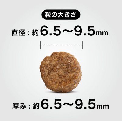 画像3: ≪ペット先進国ドイツのスーパープレミアムフード≫ハッピードッグ　ミニ アダルト （小型犬・小粒・成犬用）