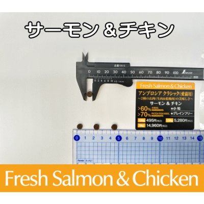 画像2: アンブロシア　キャット　サーモン＆チキン