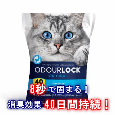 画像1: 【圧倒的な消臭効果、40日間消臭を持続！】 猫砂 オードロック 6kg