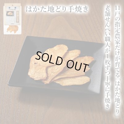 画像1: 【福岡県の食材】限定販売　ドットわんの逸品　はかた地どり手焼き　7g