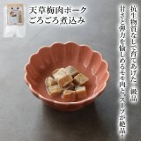 【熊本県の食材】限定販売　ドットわんの逸品　草梅肉ポークごろごろ煮込み　50g