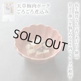 【熊本県の食材】限定販売　ドットわんの逸品　天草梅肉ポークごろごろ煮込み　50g