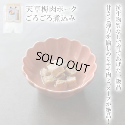 画像1: 【熊本県の食材】限定販売　ドットわんの逸品　天草梅肉ポークごろごろ煮込み　50g