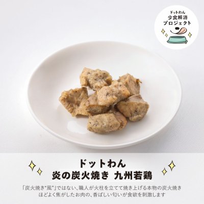画像2: ドットわん 少食ワンコのための 香るトッピングセット チキン