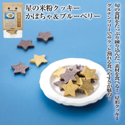 画像1: 限定販売　ドットわんの逸品　星の米粉クッキー かぼちゃ＆ブルーベリー 20g