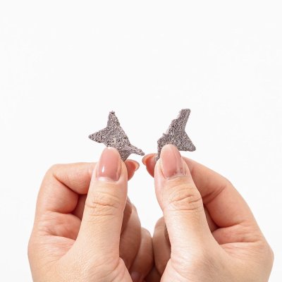 画像3: 限定販売　ドットわんの逸品　星の米粉クッキー かぼちゃ＆ブルーベリー 20g