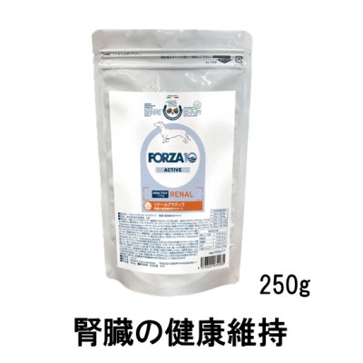 画像2: FORZA10（フォルツァ10）　リナールアクティブ　