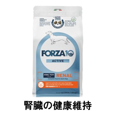 画像1: FORZA10（フォルツァ10）　リナールアクティブ　
