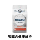 FORZA10 キャットフード リナールアクティブ ※急性腎不全・慢性腎不全