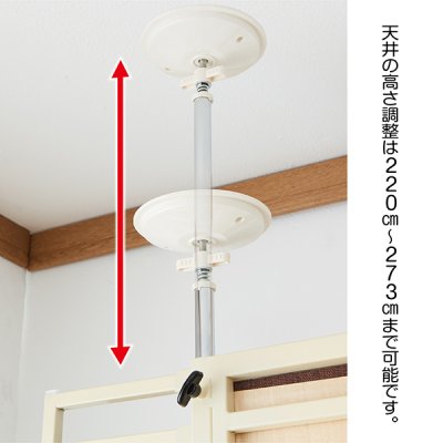 画像8: 【期間限定!バル20周年!プーちゃん20歳!感謝セール!】ボンビ キャットウォークモダン