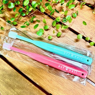 画像1: 【期間限定!バル20周年!プーちゃん20歳!ワン♪コインセール!】オリジナル歯ブラシ