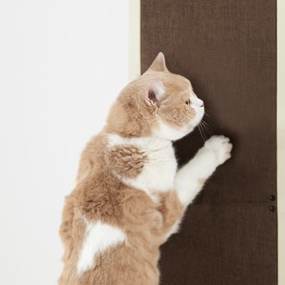 画像5: 【期間限定!バル20周年!プーちゃん20歳!感謝セール!】ボンビ キャットウォークモダン