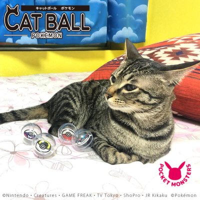 画像1: 【プーちゃんからおすそわけ♪】【無料サンプル（1種類1個、合計3個まで）】キャットボール ポケモン　1個※カラーは選べません