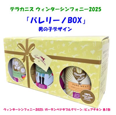 画像1: 【ペットバル20周年！プーちゃん20歳！感謝セール！400g×5個購入つきフラワーメニュー チェリーブロッサム1缶プレゼント！】≪限定！≫テラカニス ウィンターシンフォニー2025 男の子BOX