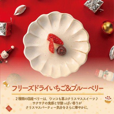 画像5: 【限定発売！】ドットわん クリスマス 2025 パーティーパック