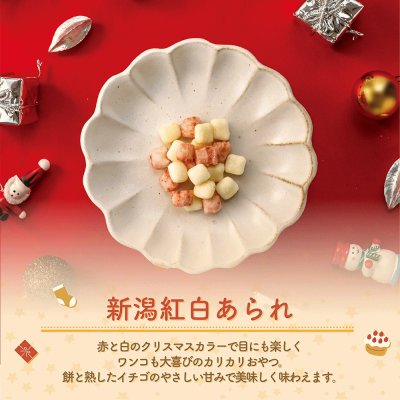 画像4: 【限定発売！】ドットわん クリスマス 2025 パーティーパック