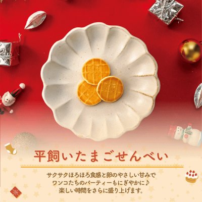 画像7: 【限定発売！】ドットわん クリスマス 2025 パーティーパック