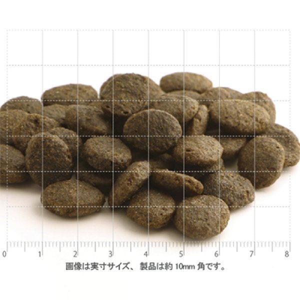 フィッシュ４ドッグ ファイネスト サーモン（大粒） 400ｇ〜15ｋｇ