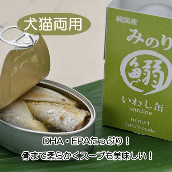 画像1: 【DHA・EPAたっぷり！】　純国産　日本のみのり いわし缶　100g (1)