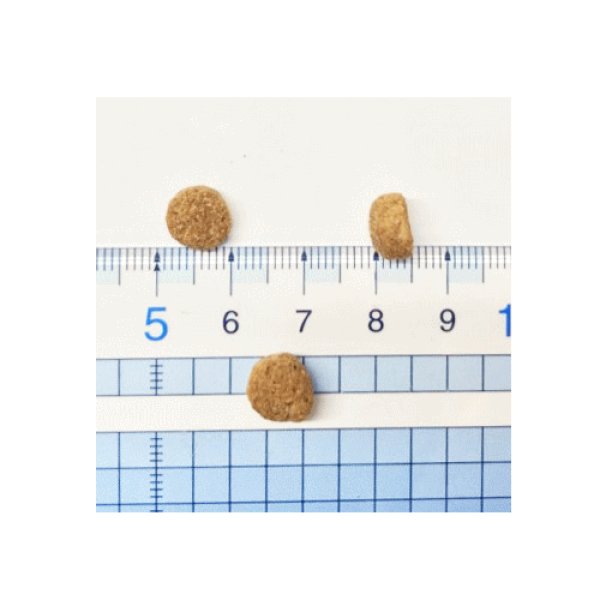 画像2: 【訳あり特価】ザナベレ　ライトチキン　（2ｋｇ） (2)