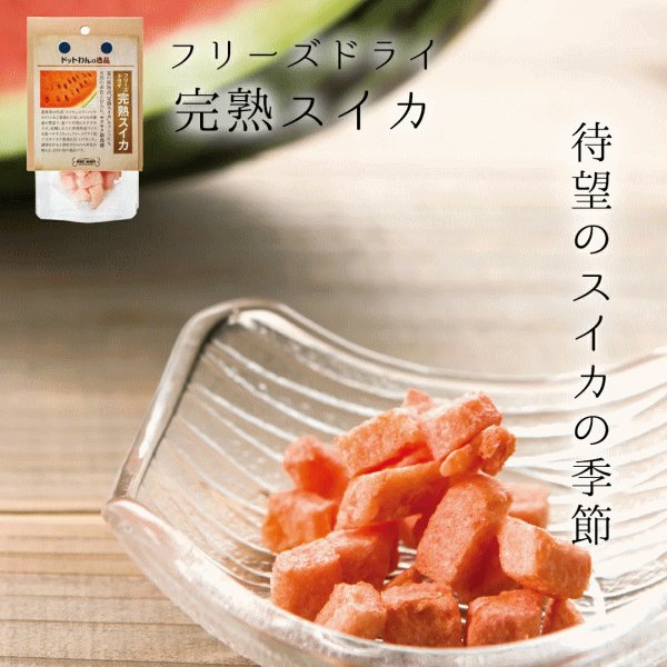 画像1: 【千葉県の食材】　限定販売　ドットわんの逸品　フリーズドライ完熟スイカ　3g (1)