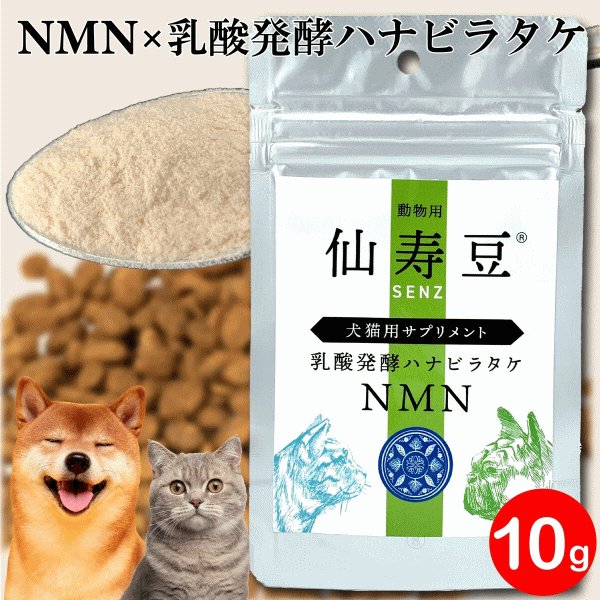 動物用仙寿豆 SENZ 犬猫用NMNサプリメント（日本産） のご紹介