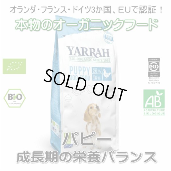 画像1: YARRAH（ヤラー）オーガニックドッグフード　パピー (1)