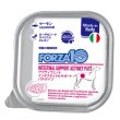 画像1: 【NEW！】FORZA10 ドッグフード インテスティナルアクティウェット　サーモン　100g　※胃腸ケア (1)