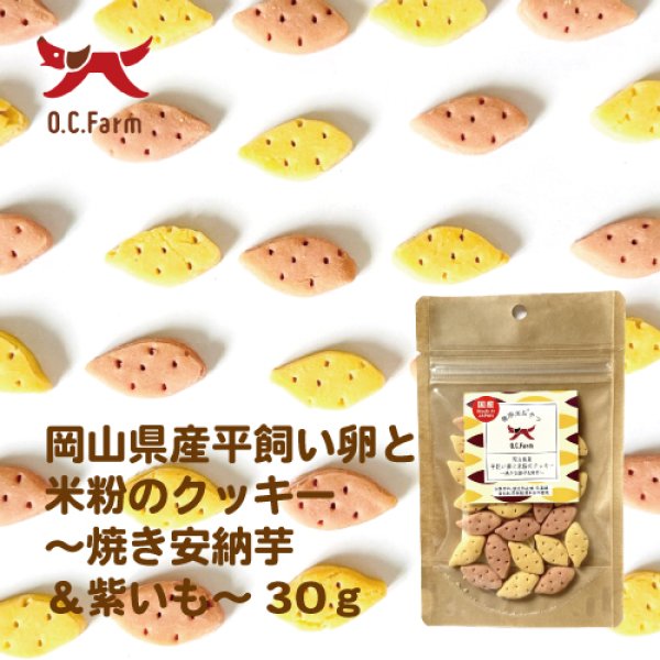 画像1: オーシーファーム　岡山県産平飼い卵と米粉のクッキー〜焼き安納芋＆紫芋〜 30g (1)