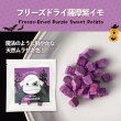 画像3: ドットわんハロウィン2025 　アソートバッグ (3)