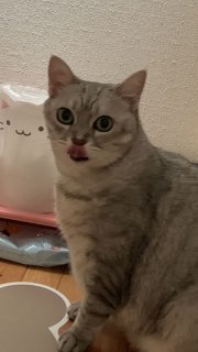 レビュー187-投稿画像1