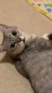 レビュー189-投稿画像1