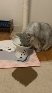 レビュー190-投稿画像1