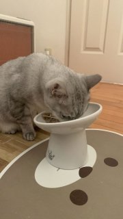 レビュー192-投稿画像1