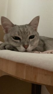 レビュー195-投稿画像1