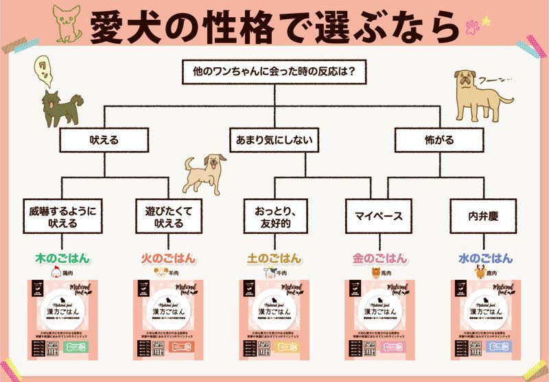 ピリカ薬膳シリーズ【漢方ごはん】レトルトタイプのご紹介｜ボッシュ ドッグフード正規販売店（ナチュラルペットフードの専門店）